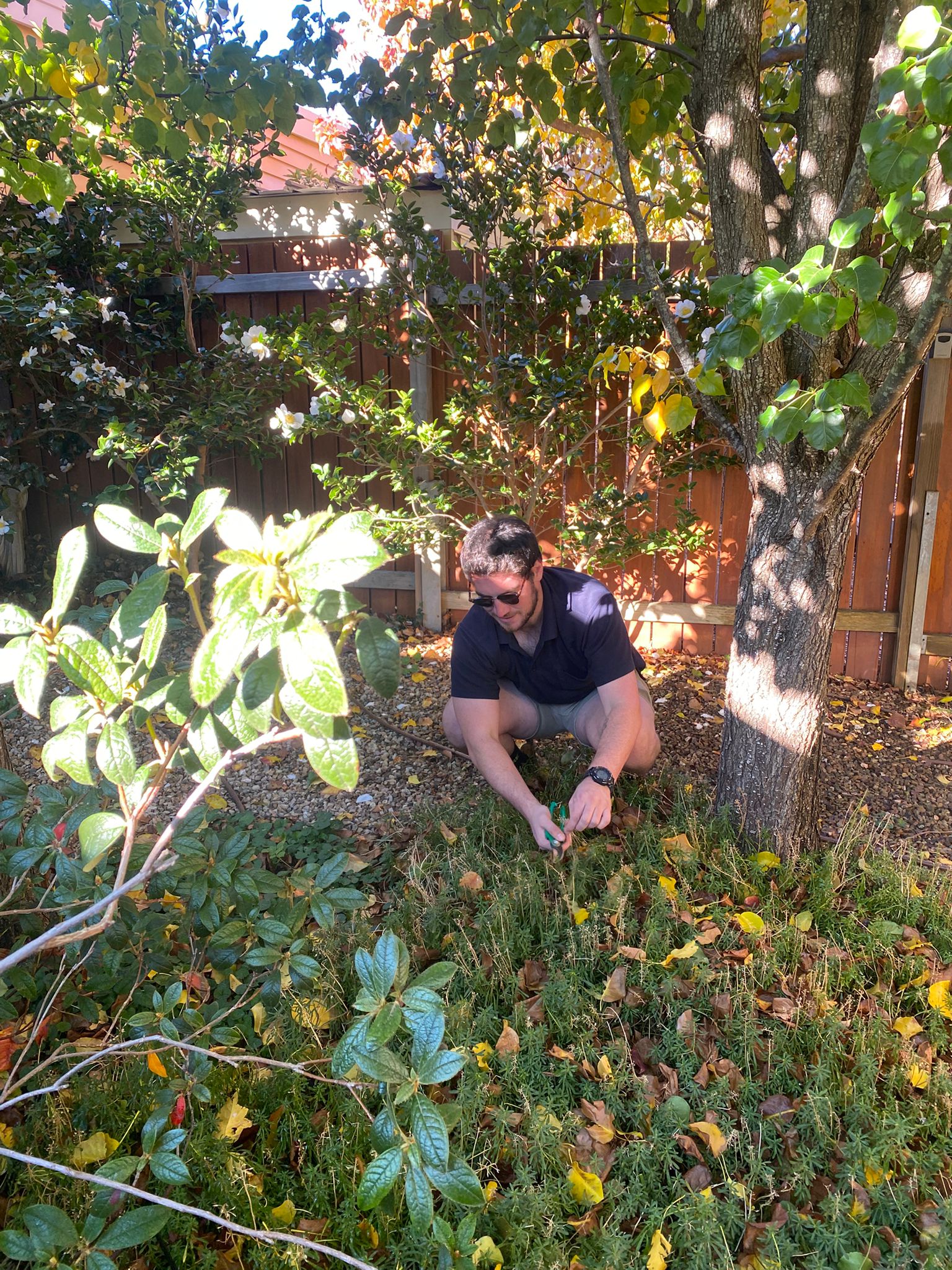 Garden 2